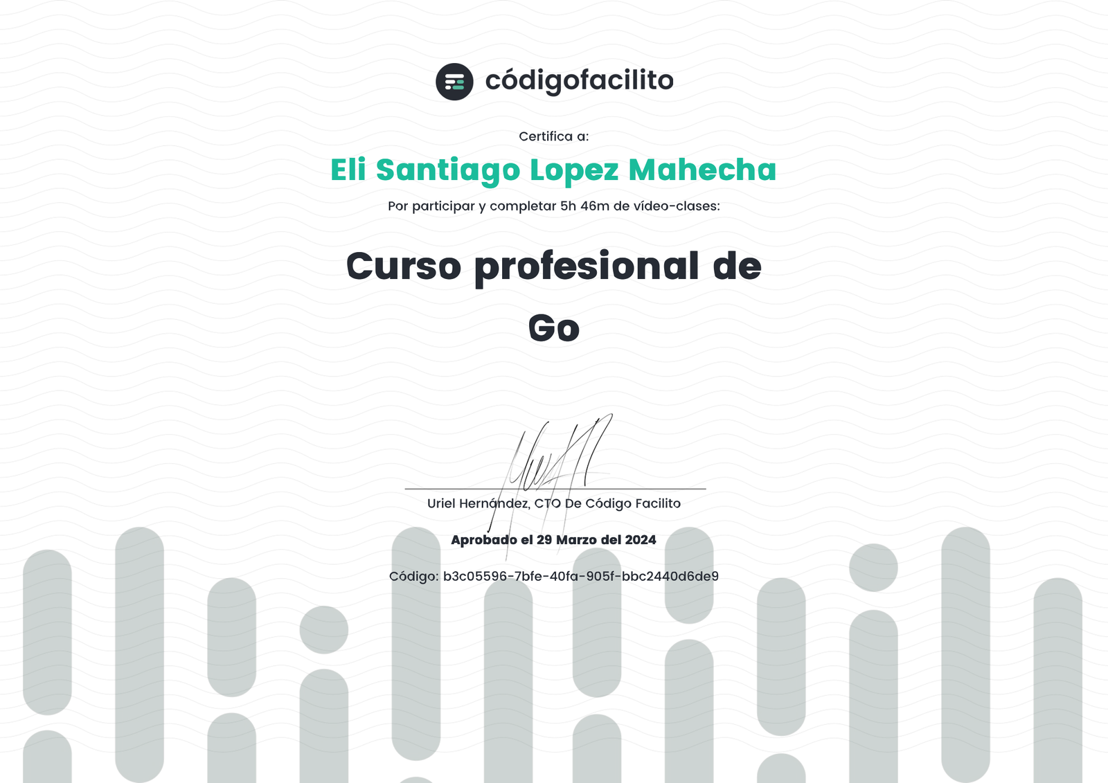 Curso Profesional de Go